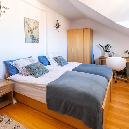 One Bedroom Apartment Pirin Lodge 班斯科 外观 照片
