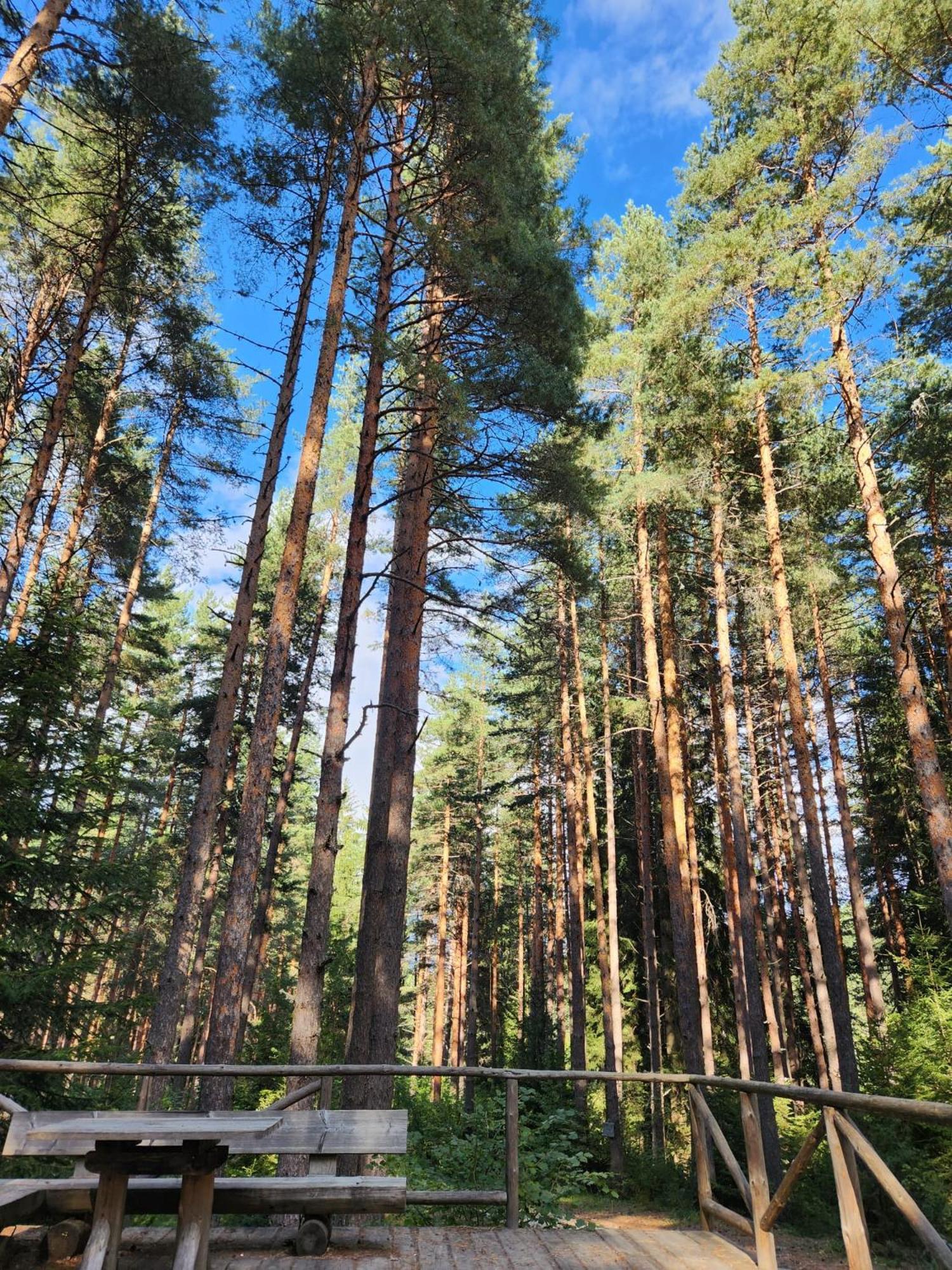 One Bedroom Apartment Pirin Lodge 班斯科 外观 照片