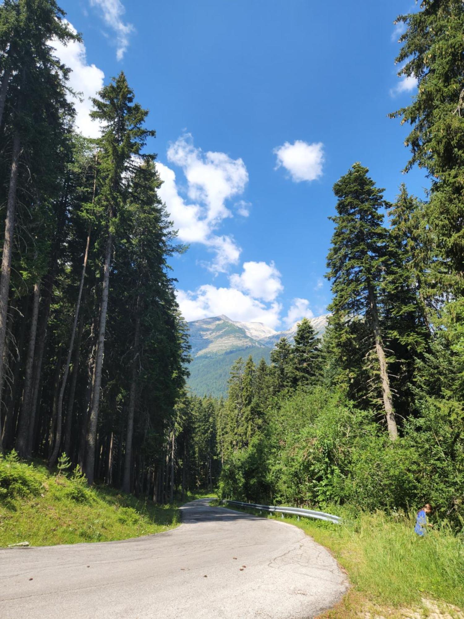 One Bedroom Apartment Pirin Lodge 班斯科 外观 照片