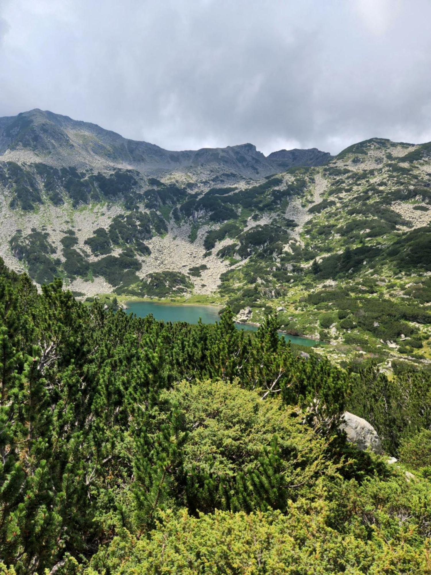 One Bedroom Apartment Pirin Lodge 班斯科 外观 照片